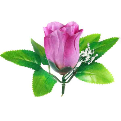 Róża w pąku - główka z liściem Purple